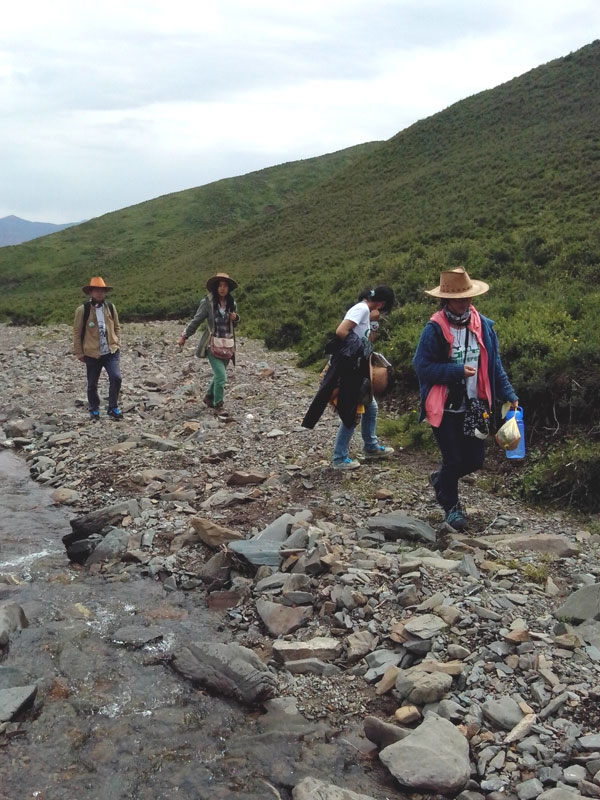 7��22�����m�ݴ�W(xu��)�Gɫ�I�F(tu��n)�(du��)�������c(di��n)����?q��)����{(di��o)�����(du��)�T������(d��ng)?sh��)ص��������f�ֲ����݈���r������ι�B(y��ng)���h(hu��n)��׃���ȷ����M(j��n)���˴��µ��˽⡣�D���(du��)�T���ڮ�(d��ng)?sh��)��M(j��n)��ֲ����R������