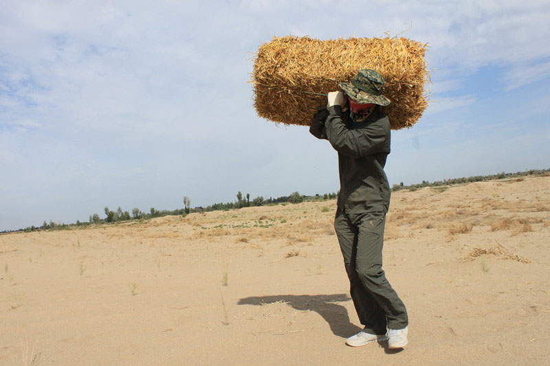 �F(tu��n)�T���i�������������ϳ����������������؟(z��)�Ρ�