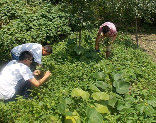 �ڶ�����꠆T���_ʼ�������B(t��i)�r(n��ng)���w��r(n��ng)��������������ժ�ˡ�