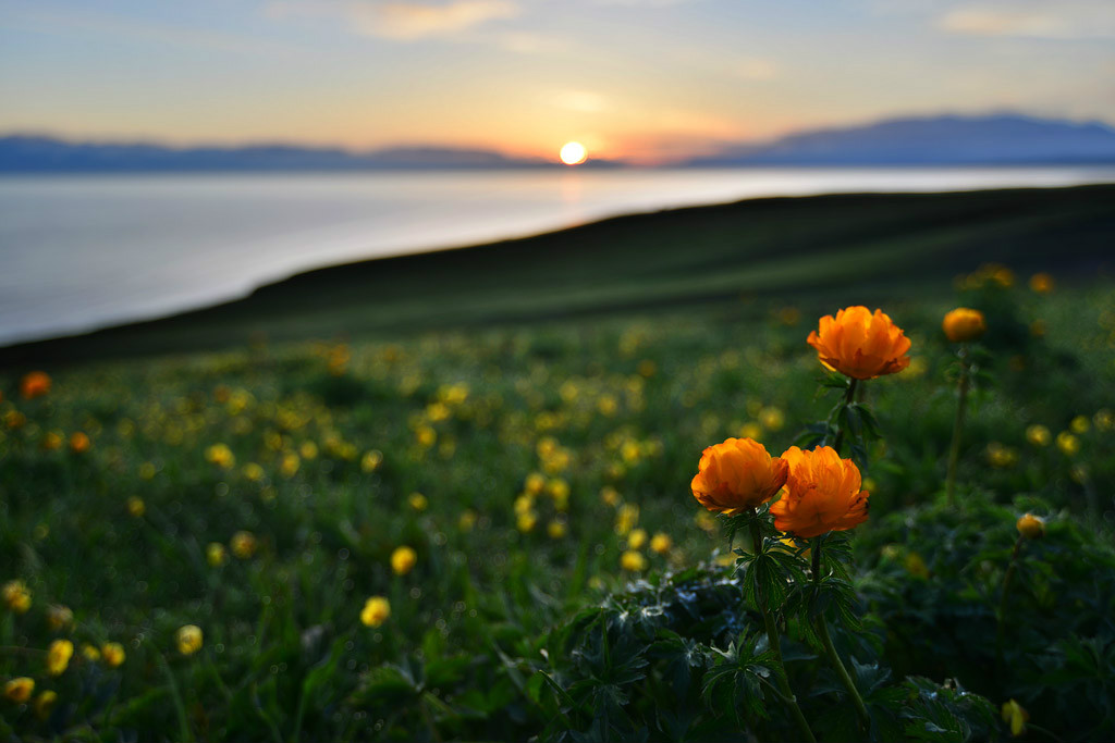 ��������l(xi��ng)�ĸ����