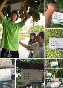 �K���r(n��ng)�W(xu��)Ժ�O(sh��)ӋУ�@ֲ����Ƭ�������K�r(n��ng)�Gɫ���}