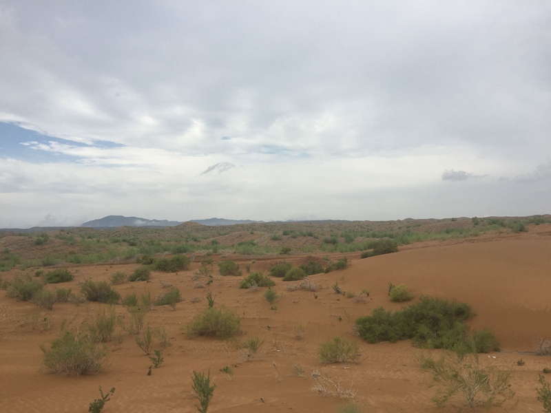 �v����ɳĮ�޾W(w��ng)������ݷ����ﲼ�M�[�d��ɳ��ֲ����