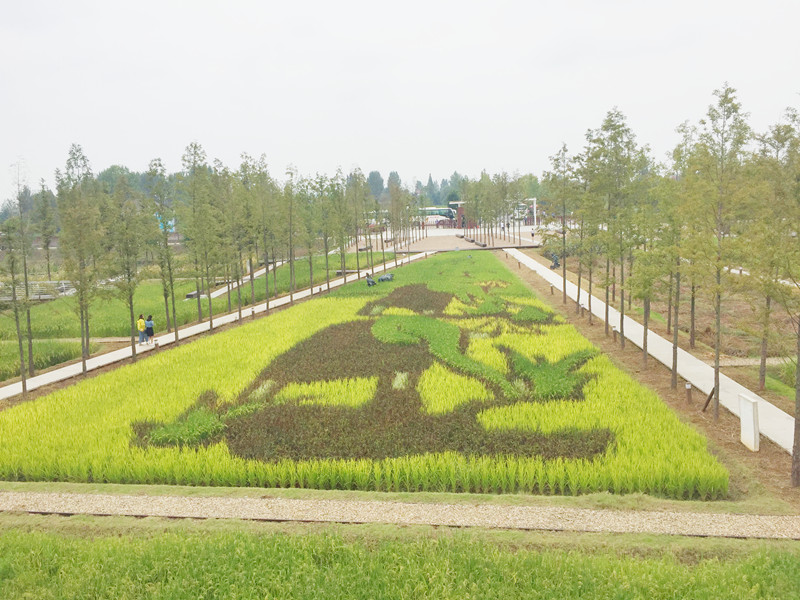 ������L�������������zӰ����־�ۣ�