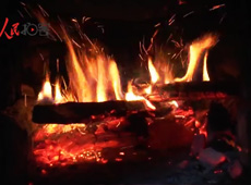 �t��t����~����������ʳ���ρ�