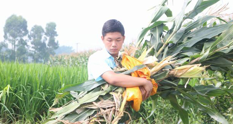 ���G���ˡ��Ƽ�֧�r(n��ng)����������`