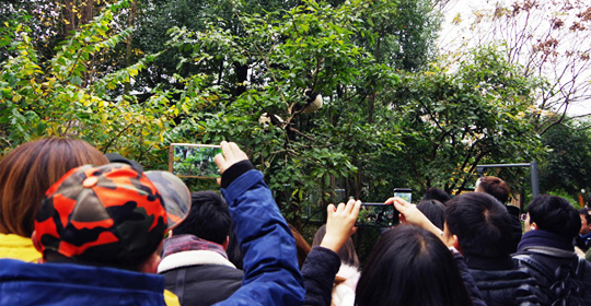 �@�����ӵ������ɶ����W(w��ng)�j(lu��)���ˁ��cٝ