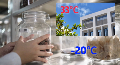 未來(lái)，海南這里都是-20℃？