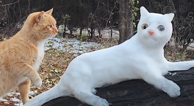 大爺在公園用積雪堆出"雪貓"和"雪鼠"